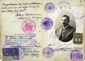 Заграничный паспорт М.Ф.Ларионова. 15 июля 1915 года. Отдел рукописей ГТГ. Публикуется впервые