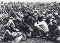 Русские военнопленные, захваченные при Танненберге. 1914