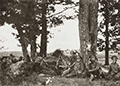 Бой под Островом. Наблюдательный пункт 2-й Финляндской стрелковой дивизии. Ф.Ф.Кублицкий-Пиоттух 3-и слева. Июнь 1916 года. Публикуется впервые