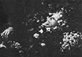 З.Н.Райх в гробу. 1939