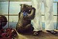 Медвежонок на палубе. 1886–1887. Холст, масло. Этюд. ЦВММ