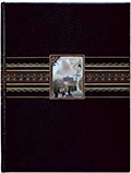 Передняя крышка переплета книги: Ernest Renan «Priere sur l’Acropole» (n.p., n.b.). Мастер переплета Г.Левицкий