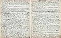 С.Н.Дурылин. Троицкие записки. Фрагмент записи от 2 января 1919 года (посещение В.В.Розанова). Автограф. МА МДМД