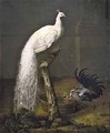 И.Ф.Гроот. Белый павлин. 1784. Холст, масло. ГРМ