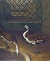 И.Ф.Гроот. Две птицы. 1750-е годы. Холст, масло. ГМЗ «Царское Село»