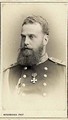 Великий князь Алексей Александрович. После 1878 года
