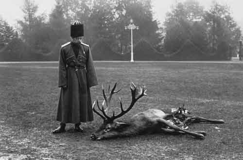 охота, царская охота, Николай II на охоте, охота Николая II, Николай Романов, как охотился Николай II, придворная охота, охота царя, как охотился царь