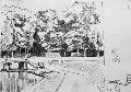 А.Н.Бенуа. В Версальском парке. Справа в центре надпись: «16 V 1906». Бумага, графитный карандаш