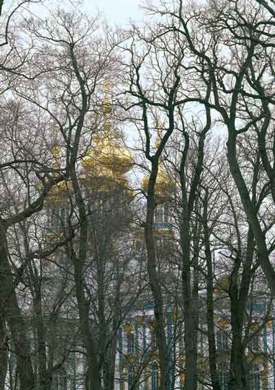 Царскосельский пейзаж. 1980-е годы. Фото А.Викторова