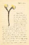 Письмо О.А.Флоренской к П.А.Флоренскому. 19.III.1905. Тифлис