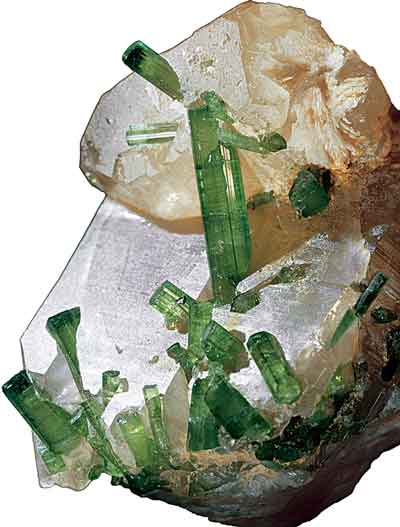 Верделит (зеленый турмалин-эльбаит) на кварце. Афганистан. Кристаллы верделита до 7 см
