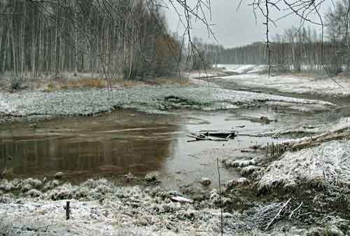 Ландшафт Мамонтового ручья в Луговском
