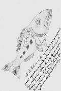 Рыба. Рисунок И.Я.Билибина. Март 1920 года. Внизу сбоку — автограф С.В.Яблоновского